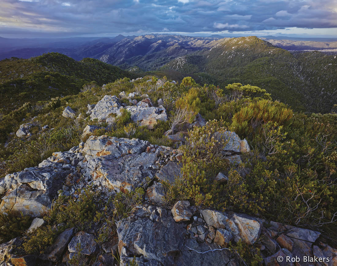 photograph of Mt Livingstone and the Meredith Rg